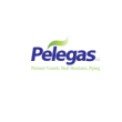 شركة Pelegas Ltd