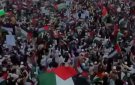 النشرة بنغلادش