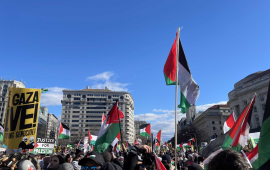 تصويت للعدالة! 67.9% من طلاب جورج تاون يؤيدون سحب الاستثمارات