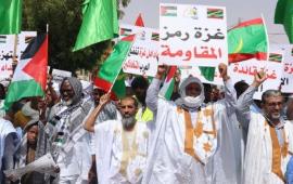 في موريتانيا.. الالآف يشاركون في مسيرة احتفاءً بوقف النار بغزة