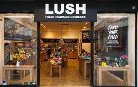 "نرفض استمرار الإبادة".. شركة "Lush" تغلق متاجرها ومصانعها في المملكة المتحدة