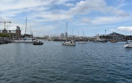 ترهيب وأذى نفسي..  نشطاء جنوب أفريقيين كانوا على "أسطول الصمود العالمي"  يروون تفاصيل اختطافهم