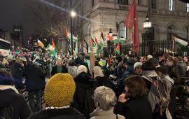 أحتجاج خارج "داونينج ستريت" تضامنًا مع مضربي الطعام من "فيلتون24"