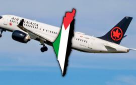 دبوس خارطة فلسطين.. الخطوط الجوية الكندية تحقق مع مضيفة طيران تضامنت مع فلسطين