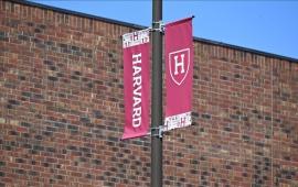 تحسّبًا لزوال الكيان.. موقع سري بجامعة هارفارد يخزّن كامل الإنتاج الثقافي والعلمي للاحتلال