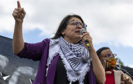 رشيدة طليب: على واشنطن معاقبة إسرائيل ووقف تسليحها