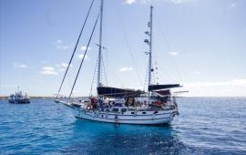 أسطول الصمود العالمي يعلن فتح باب التسجيل للمتخصصين لدعم تجهيز أسطول جديد