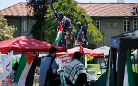 تسعى لفصلها! .. جامعة "سان خوسيه" توقف أستاذة عن العمل بسبب دعمها فلسطين