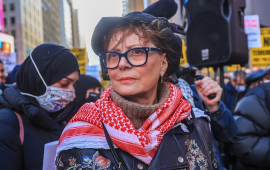 “أجساد تتبخر”.. سوزان ساراندون” تندد” بالدعم العسكري الأمريكي للاحتلال