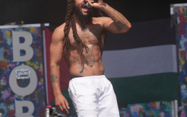 بوب فايلن:يجب على الفنانين استخدام منصاتهم لدعم الفلسطينيين