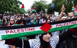 "اوقفوا الإبادة" فعالية رياضية في أيرلندا نصرًة لغزة