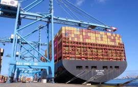 ناقلة الأسلحة لـ”إسرائيل”.. يوم عمل ضدّ شركة MSC في نابولي