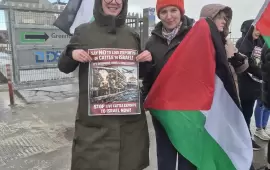 دعوات أيرلندية لوقف تصدير المواشي إلى الاحتلال