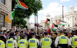 تضامنت مع "حركة فلسطين" الشرطة الأيرلندية تستعدي ناشطة للتحقيق