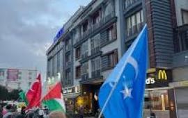 دعوات المقاطعة تتصاعد احتجاجات مستمرة أمام "برغر كينغ" و"ماكدونالدز " في تركيا