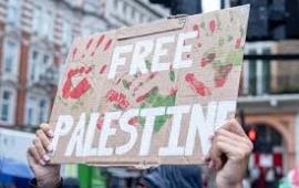 إيطاليا تحقق في شحنات هندية متجهة إلى الاحتلال...مظاهرات في اليمن وأفريقيا واحتجاج ضد مباراة مع الاحتلال بإسبانيا