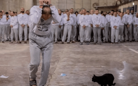 تنديدًا بالقانون العنصري.. “التضامن الأيرلندي” تُطلق حملة إلكترونية تضامنًا مع الأسرى