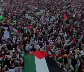 النشرة بنغلادش