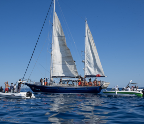 متوجهة لكسر الحصار.. تبرعات شعبية تغطي 35% من تكاليف السفينة الخليجية