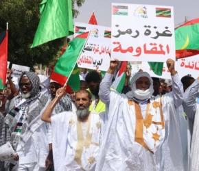 في موريتانيا.. الالآف يشاركون في مسيرة احتفاءً بوقف النار بغزة