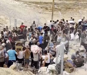 مصائد الموت.. أعضاء بمجلس الشيوخ ينتقدون "مؤسسة غزة الإنسانية"