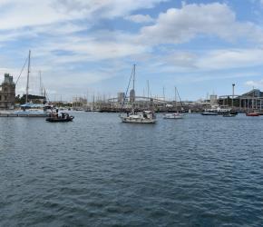 ترهيب وأذى نفسي..  نشطاء جنوب أفريقيين كانوا على "أسطول الصمود العالمي"  يروون تفاصيل اختطافهم