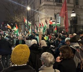 أحتجاج خارج "داونينج ستريت" تضامنًا مع مضربي الطعام من "فيلتون24"