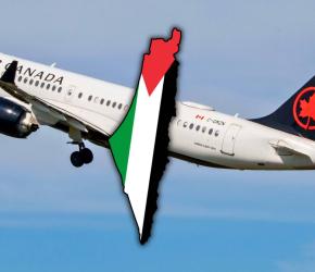دبوس خارطة فلسطين.. الخطوط الجوية الكندية تحقق مع مضيفة طيران تضامنت مع فلسطين