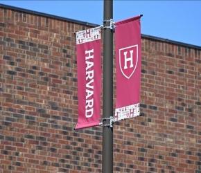 تحسّبًا لزوال الكيان.. موقع سري بجامعة هارفارد يخزّن كامل الإنتاج الثقافي والعلمي للاحتلال