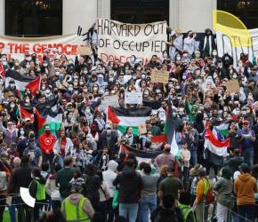 ترامب يعاقب التضامن!  قاضية أمريكية تحكم بعدم قانونية قطع منح هارفارد