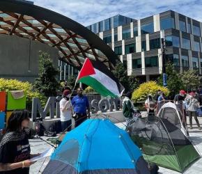 منظمة "أمهات ضد الإبادة" تدعو لمقاطعة "مايكروسوفت" و"إكس بوكس"