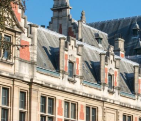 حركة التضامن