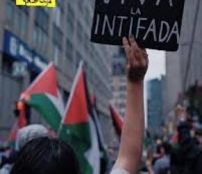 إغلاق "إلبيت" في بريطانيا وتعطيل العمل بميناء "أوكلاند" بأمريكا..استهداف مبنى منظمة العفو الدولية واقتحام متجر "كارفور" في تونس.