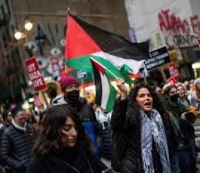 في نيويورك.. احتلال مكتب السيناتور شومر وإغلاق البعثة المصرية رفضًا لتجويع غزة...محكمة "نيو ساوث ويلز" ترفض حظر مسيرة التضامن مع غزة