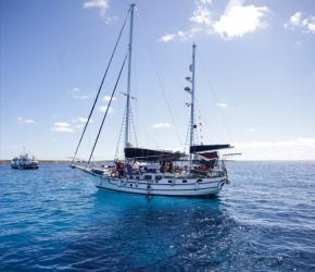 أسطول الصمود العالمي يعلن فتح باب التسجيل للمتخصصين لدعم تجهيز أسطول جديد