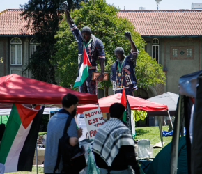 تسعى لفصلها! .. جامعة "سان خوسيه" توقف أستاذة عن العمل بسبب دعمها فلسطين