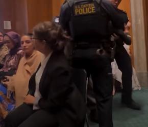 من قدامى المحاربين.. اعتقال جنديين أمريكيين اتهموا مجلس الشيوخ بالتواطؤ بالإبادة