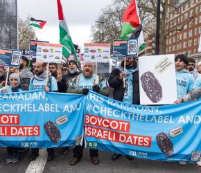 الكشف عن تزوير منشأ التمور الإسرائيلية بعد تصاعد المقاطعة