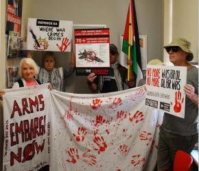 تصدر شحنات أسلحة للاحتلال نشطاء يغلقون مدخلًا رئيسيًا لميناء سوانسون في أستراليا