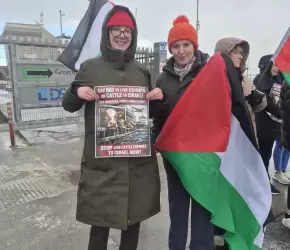 دعوات أيرلندية لوقف تصدير المواشي إلى الاحتلال