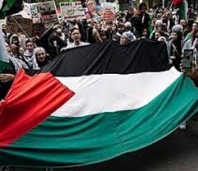 احتجاجات مستمرة أمام "كارفور " في فرنسا و "ماكدونالدز " و "برغر كينغ" بتركيا...نواب ونشطاء يتظاهرون دعمًا لقادة حركة التضامن ببريطانيا