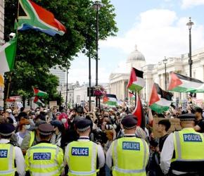 تضامنت مع "حركة فلسطين" الشرطة الأيرلندية تستعدي ناشطة للتحقيق