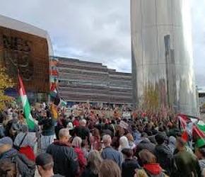 "لا لدعم اقتصاد الإبادة" احتجاج داخل أحد متاجر "هوم بارغينز" في  أيرلندا