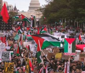 أمام الكونغرس الأمريكي ناشطون يطالبون مجلس الشيوخ بوقف تسليح الاحتلال