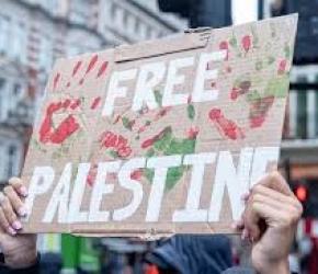 إيطاليا تحقق في شحنات هندية متجهة إلى الاحتلال...مظاهرات في اليمن وأفريقيا واحتجاج ضد مباراة مع الاحتلال بإسبانيا