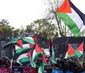 "أوقفوا الإبادة"  فعالية رياضية في أيرلندا دعمًا لغزة