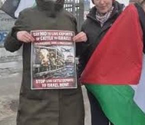 وقفة احتجاجية في أيرلندا تنديدًا بتصدير ماشية إلى إسرائيل