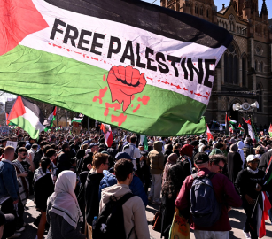 “أدينوا الإبادة”..  5000 طالب يصوتون لقطع الشراكات مع شركات الأسلحة