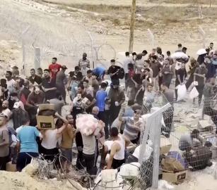 مصائد الموت أعضاء بمجلس الشيوخ ينتقدون "مؤسسة غزة الإنسانية"