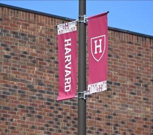 تحسّبًا لزوال الكيان.. موقع سري بجامعة هارفارد يخزّن كامل الإنتاج الثقافي والعلمي للاحتلال